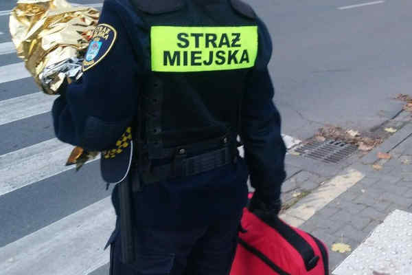 Fot. Straż Miejska Poznań