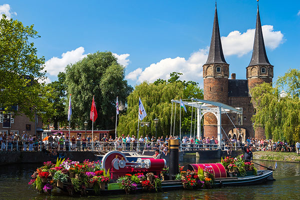 Parad kwiatów w Delft, fot. mihaiulia / Shutterstock.com