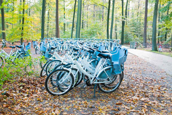 Białe rowery w parku Hoge Veluwe, fot. Shutterstock, Inc. / zdjęcie ilustracyjne