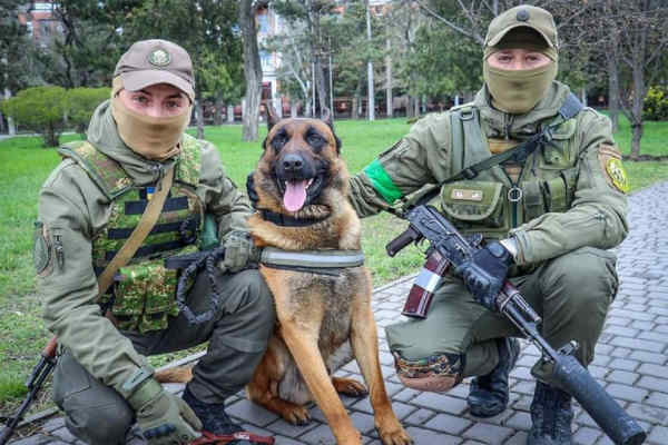 Fot. Gwardia Narodowa Ukrainy / materiały prasowe